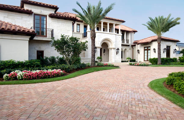 Best Professional Driveway Pavers  in Madison, MN